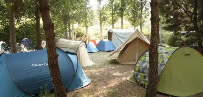 Comment trouver une colonie de vacances pas chère pour votre enfant