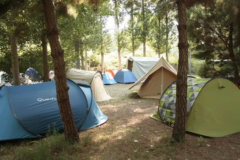 Comment trouver une colonie de vacances pas chère pour votre enfant